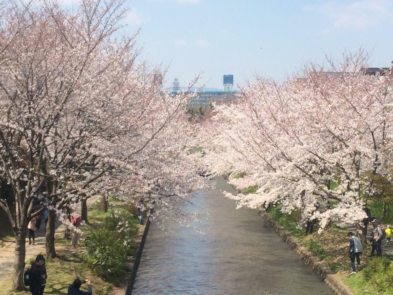 Suzume-An Villa Kyoto Eksteriør billede