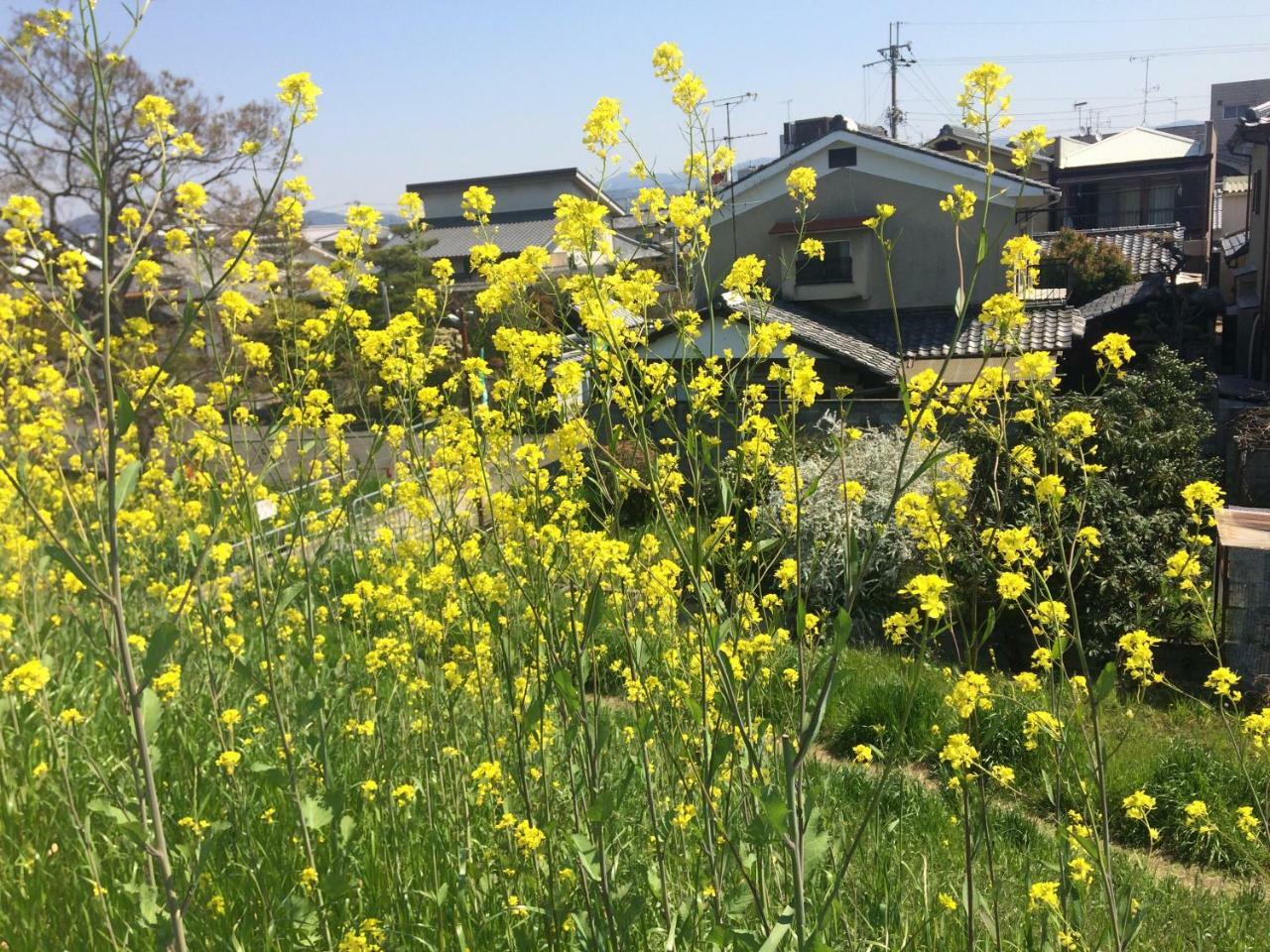 Suzume-An Villa Kyoto Eksteriør billede